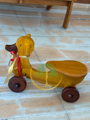 Duck