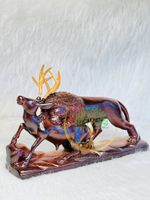Lion Hunting Deer