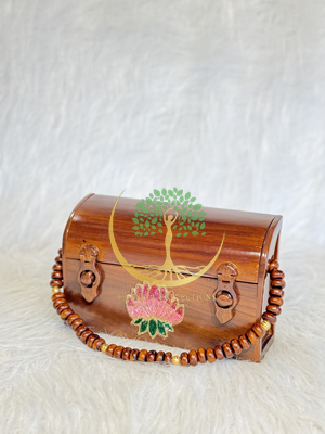 Vanshika Bag Squire Model