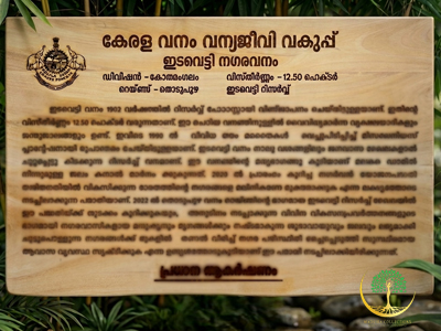 Name Board