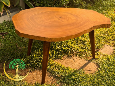 Live edge Coffee table